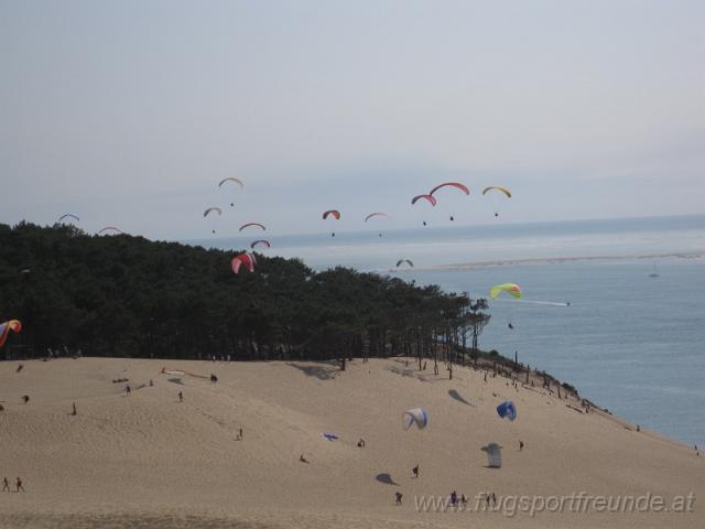 sandhaufen_2010-07-20 (52).JPG